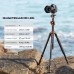 Aluminum 4-Section Tripod Detachable Monopod Tripod T254A8+BH-28L