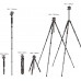 Carbon Fiber 5-Section Tripod Load Capacity 15kg A255C2+BH-36L