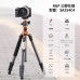 Carbon Fiber 4-Section Tripod Load Capacity 10kg O254C1+BH-28L
