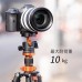 Carbon Fiber 4-Section Tripod Load Capacity 10kg O254C1+BH-28L