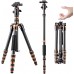 Carbon Fiber 4-Section Tripod Load Capacity 8kg O254C2+BH-36
