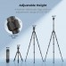 Carbon Fiber 4-Section Tripod Load Capacity 8kg O254C2+BH-36