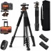 Lightweight Travel Outdoor DSLR Tripods Load Capacity 8kg S255A3+BH-36