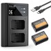 NP-FW50 2 Pack Replacement Batteries and Dual Slot Charger