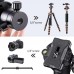 Ball Head Load Capacity 8kg BH-25L