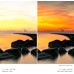 Nano-Xcel Pro Series, 100 x 100mm Square Soft GND8 (3 Stop) Lens Filter 36 multi-layer