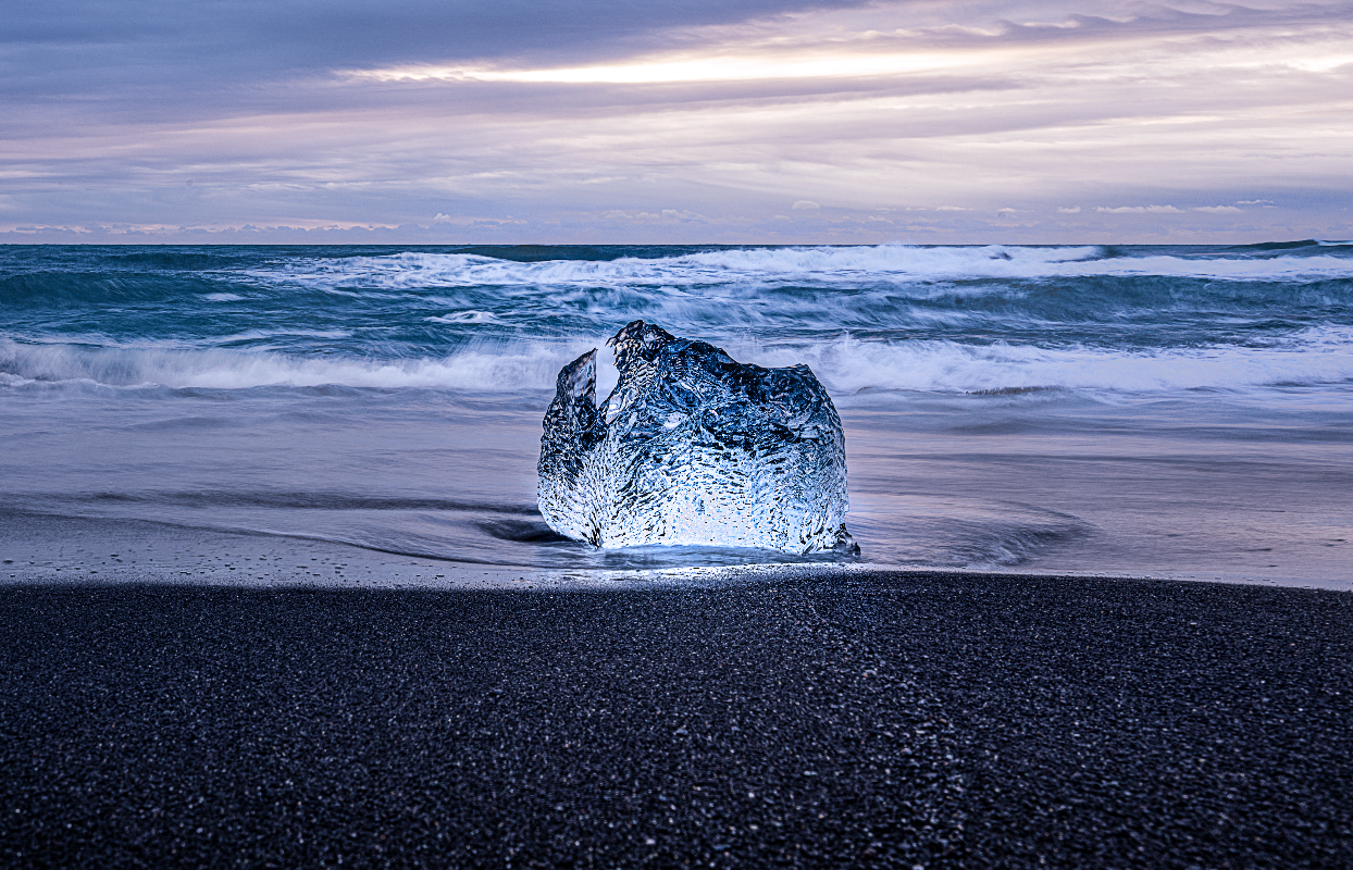 gallery cover 